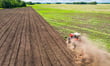 Australian farmers regain optimism after market rebound