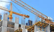 NZ housing consents rise 11% as sector rebounds
