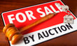 NZ sees surge in auction volume