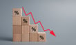 Rate cuts, increased borrowing ahead of OCR decision