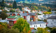 New Zealand construction sector finds tentative footing