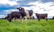 Rural property market rebounds across New Zealand