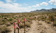 Missed deadline sinks investor's fraud claims against land banking group
