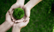 Sustainable investing momentum slows but commitment holds, Morgan Stanley survey finds