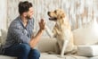 Pet-friendly rentals cost more, remain limited across Australia