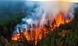 Insurers' own rebuild estimates are driving most underinsurance, study finds