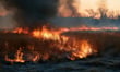 Southern California wildfires spare most homes as fire-zone market stays fragile