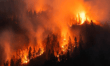 Southern California wildfires spare most homes, but renew pressure on fire-zone cover