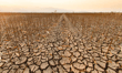 Severe drought puts uninsured crop losses and subsidence in focus