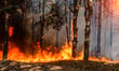 Lytton fire class action sets December opt-out deadline as insurers weigh subrogation