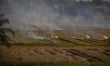Indonesia’s forest fire crackdown puts plantation sector insurance programs under pressure