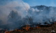Whenuapai fire puts Auckland's fringe in the frame as El Niño lifts wildfire risk