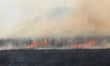 Record El Niño raises NZ wildfire and storm risks