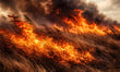 Tasmania bushfires bring fresh insurance pressure for brokers and businesses