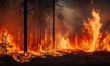 California lenders ordered to account for wildfire insurance payouts