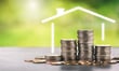 Auckland rents hold steady as August rental market cools off
