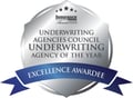 IBAA 2025 Excellence Award