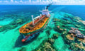 Marine insurer SIGCo, shipowner settle coral reef damage case for $17 million
