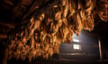 Hudson Insurance hit with bad-faith suit over halved crop payouts