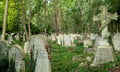 Courtesy defense fails to sink cemetery's coverage suit, court rules