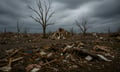 State Farm, American Family mobilize after spring storms trigger thousands of claims