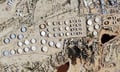 Trump's Kharg Island threat puts Hormuz insurance market on knife-edge