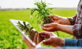 Inszone buys 60-year Michigan farm insurance shop