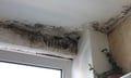 Mold claims against home builders are piling up, and insurers are footing the bill