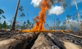 Catastrophe costs show no sign of slowing in 2025 – Willis