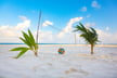 Is prepaid vacation the next frontier in insurance products?