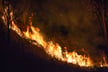 Western wildfires expose coverage gaps as carrier moratoriums spread