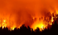 Reno wildfire hits Nevada homes under its brand-new wildfire exclusion law