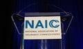 NAIC extends private-rating deadlines as it recovers from June ShinyHunters breach