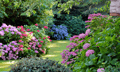 Aviva on how a garden can protect your property from extreme weather