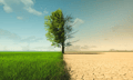 EU urged to increase coverage to help farmers facing climate risks