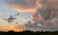 Climate challenges demand broker agility: insights from industry leaders