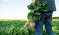 Environmental scrutiny is changing how insurers assess risk