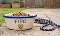 Aviva says pet and Green Flag cover is where its 6-7% market share can grow