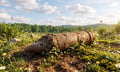 What Europe's bomb-detonating wildfires mean for UK insurers