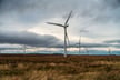 Renewable energy buyers hold the cards as insurer appetite hits highs