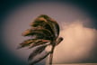 Willis finds uneven climate reporting pace creates competitive risk for businesses