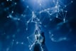 Insurers rethink policy wording as AI risks rise