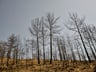 Record El Niño arrives as reinsurance pricing hits cycle lows