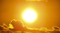 European heat mortality exposes a gap in life insurance pricing