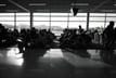 NATS glitch cancels more than 1,300 UK flights as insurers assess claims