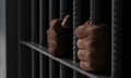 Two jailed for more than nine years over motor insurance fraud: London police