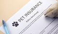 Man convicted after faking dog deaths in £31,000 pet insurance fraud