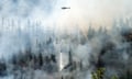 Insurers reassess exposure amid rise in wildfire activity