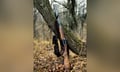 Ontario court makes Aviva, insurers share duty to defend hunting claim