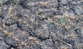 Alberta's crop insurance market is still catching up - and a single storm can undo a quiet season